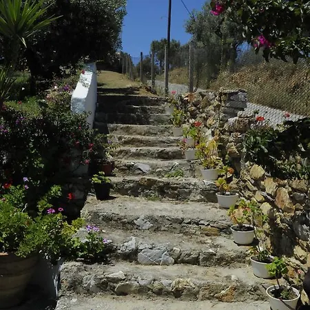 Pensionat Camelia Skiathos stad