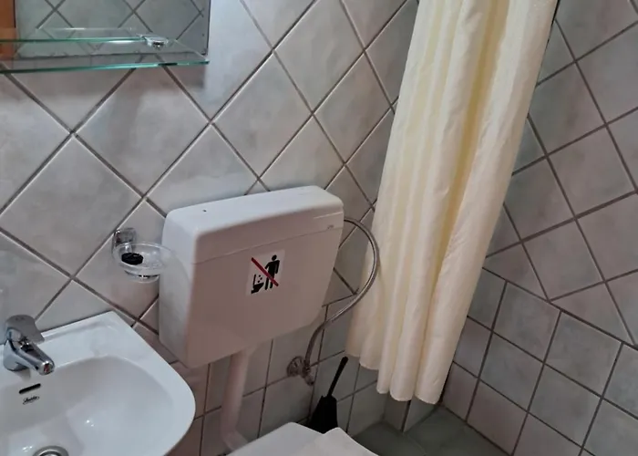 Guest house Camelia 4*