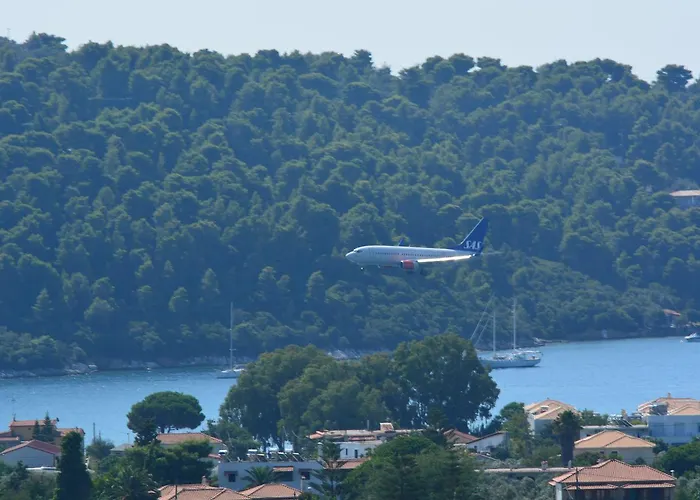 Camelia Guest house 4*