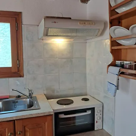 Camelia Apartment