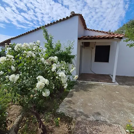 Pensjonat Camelia 4*