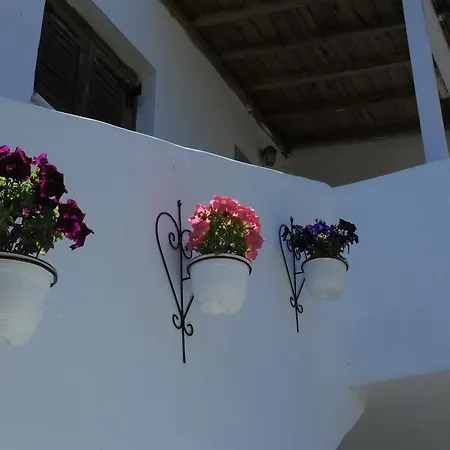 Pensjonat Camelia Skiatos