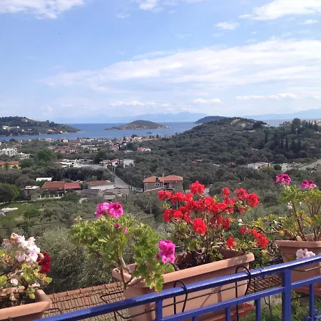 Camelia Apartament