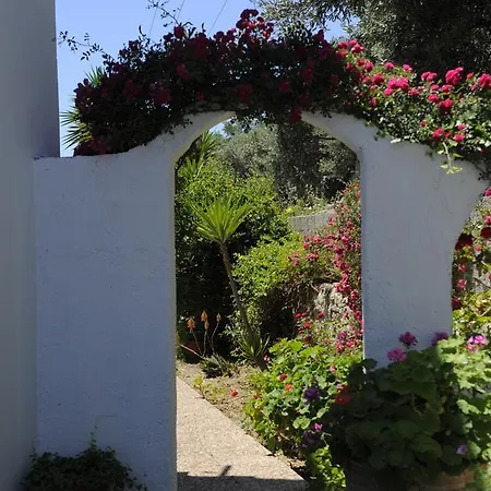 Pensión Camelia Skiathos