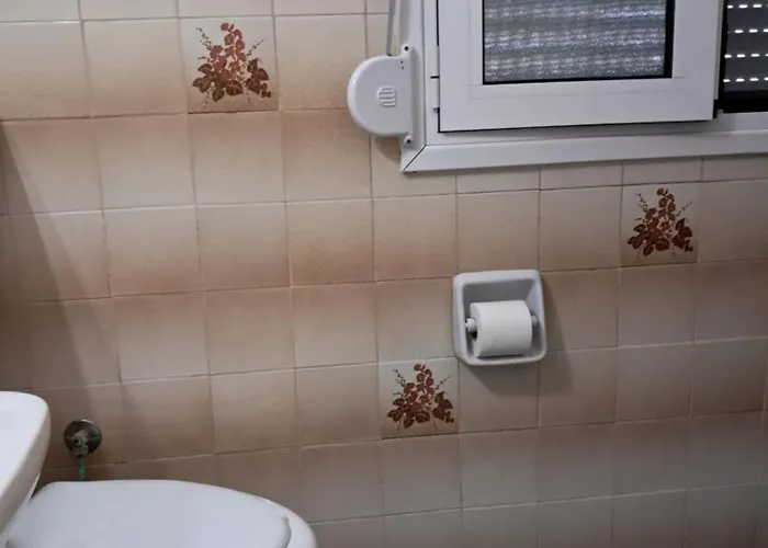 Pensionat Camelia 4*