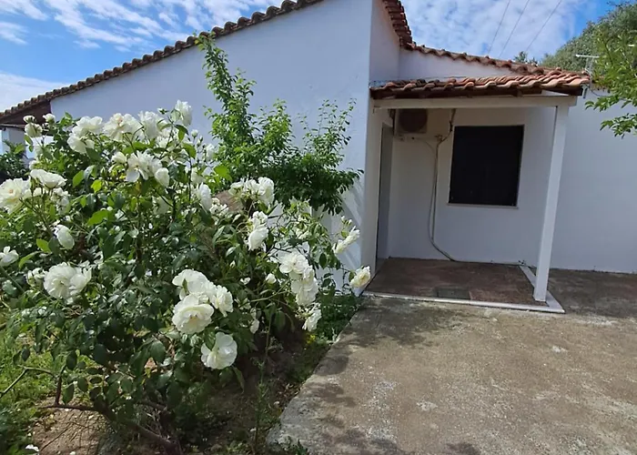 Pensionat Camelia 4*