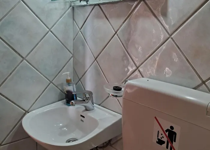 Camelia Pensionat 4*