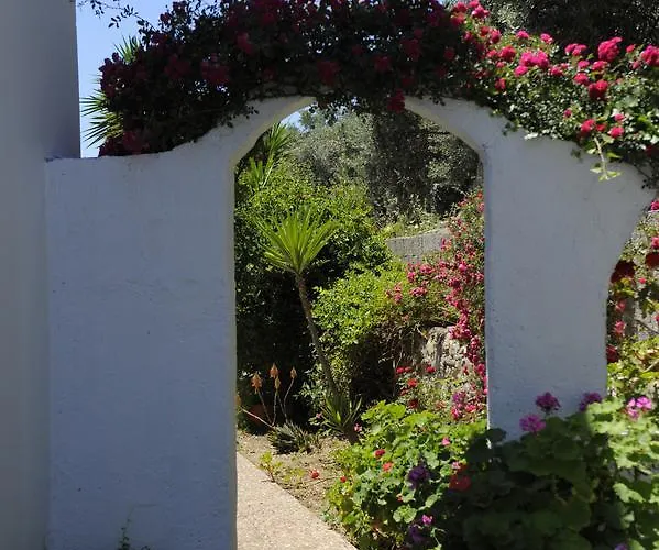 Pensionat Camelia Skiathos stad