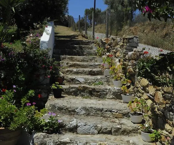 Pensionat Camelia Skiathos stad